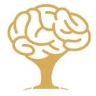 Big Brain Publishing